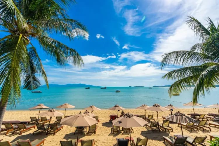Goa